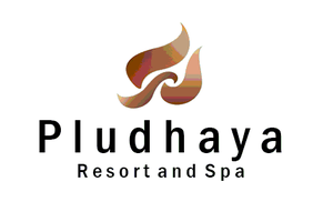 Pludhaya_logo